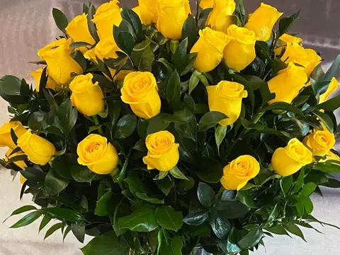 yellowroses_e3990bd2-29fd-4bf1-ac02-a9bb63815861_large